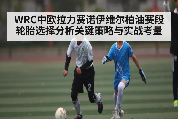 WRC中欧拉力赛诺伊维尔柏油赛段轮胎选择分析关键策略与实战考量